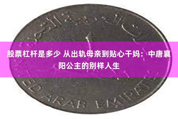 股票杠杆是多少 从出轨母亲到贴心干妈：中唐襄阳公主的别样人生