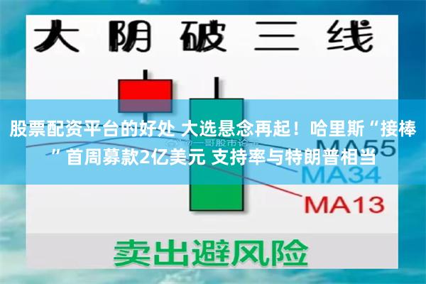 股票配资平台的好处 大选悬念再起！哈里斯“接棒”首周募款2亿美元 支持率与特朗普相当