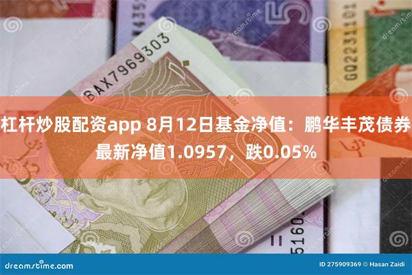 杠杆炒股配资app 8月12日基金净值：鹏华丰茂债券最新净值1.0957，跌0.05%