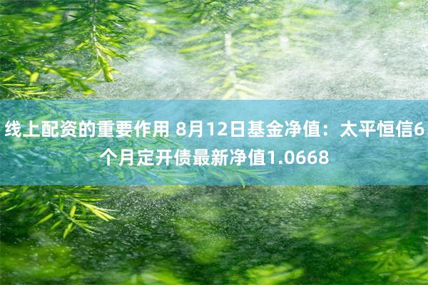 线上配资的重要作用 8月12日基金净值：太平恒信6个月定开债最新净值1.0668