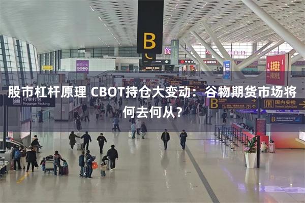 股市杠杆原理 CBOT持仓大变动：谷物期货市场将何去何从？