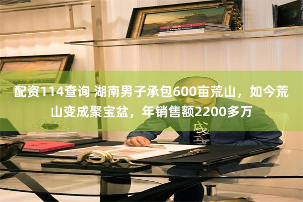 配资114查询 湖南男子承包600亩荒山，如今荒山变成聚宝盆，年销售额2200多万