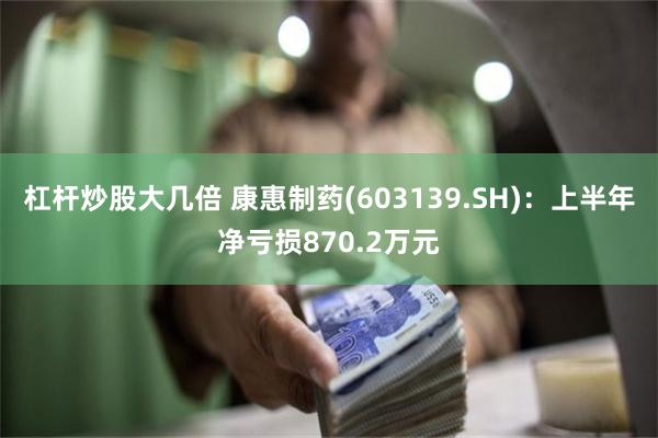 杠杆炒股大几倍 康惠制药(603139.SH)：上半年净亏损870.2万元