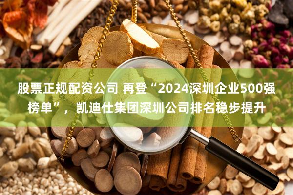 股票正规配资公司 再登“2024深圳企业500强榜单”，凯迪仕集团深圳公司排名稳步提升