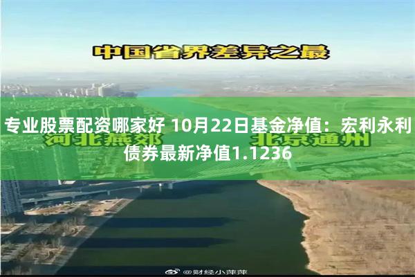 专业股票配资哪家好 10月22日基金净值：宏利永利债券最新净值1.1236