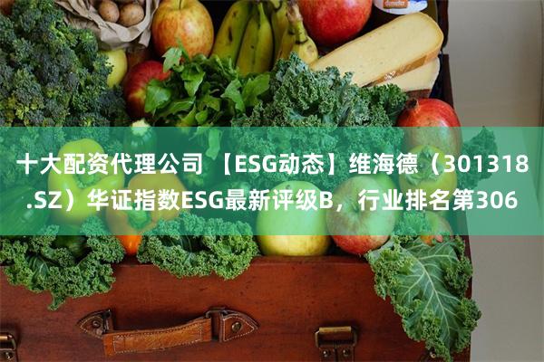 十大配资代理公司 【ESG动态】维海德（301318.SZ）华证指数ESG最新评级B，行业排名第306