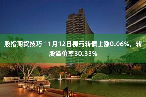 股指期货技巧 11月12日柳药转债上涨0.06%，转股溢价率30.33%