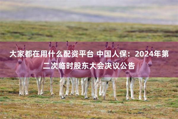 大家都在用什么配资平台 中国人保：2024年第二次临时股东大会决议公告