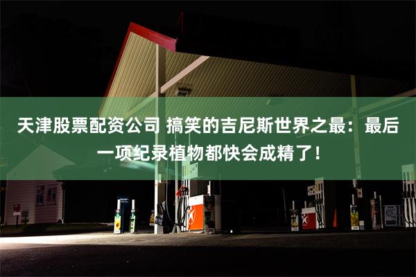 天津股票配资公司 搞笑的吉尼斯世界之最：最后一项纪录植物都快会成精了！