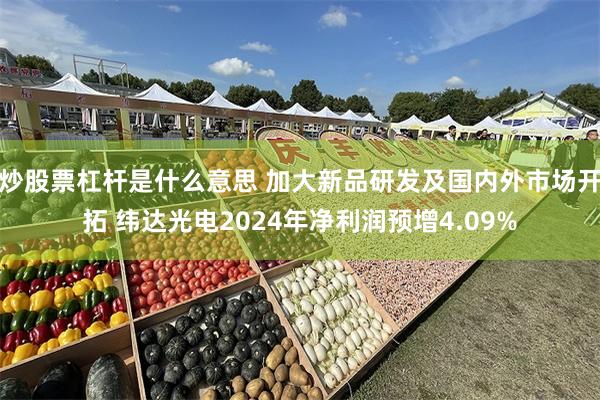 炒股票杠杆是什么意思 加大新品研发及国内外市场开拓 纬达光电2024年净利润预增4.09%