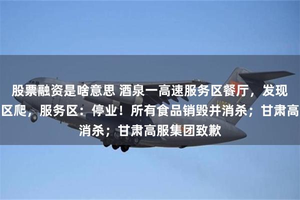 股票融资是啥意思 酒泉一高速服务区餐厅，发现老鼠在熟食区爬，服务区：停业！所有食品销毁并消杀；甘肃高服集团致歉